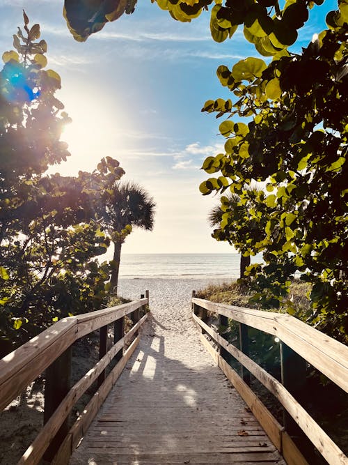 Free stock photo of beach, boardwalk