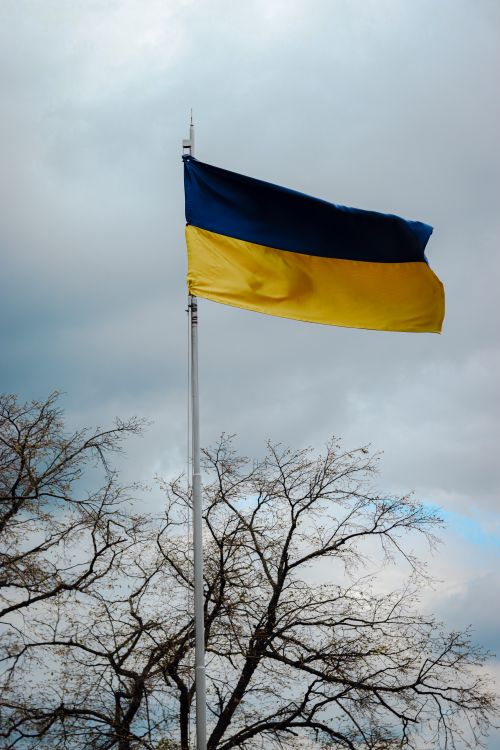 Free Ukrainian national flag hoisted, waving on a flagpole with overcast skies and tree branches in the background. Stock Photo