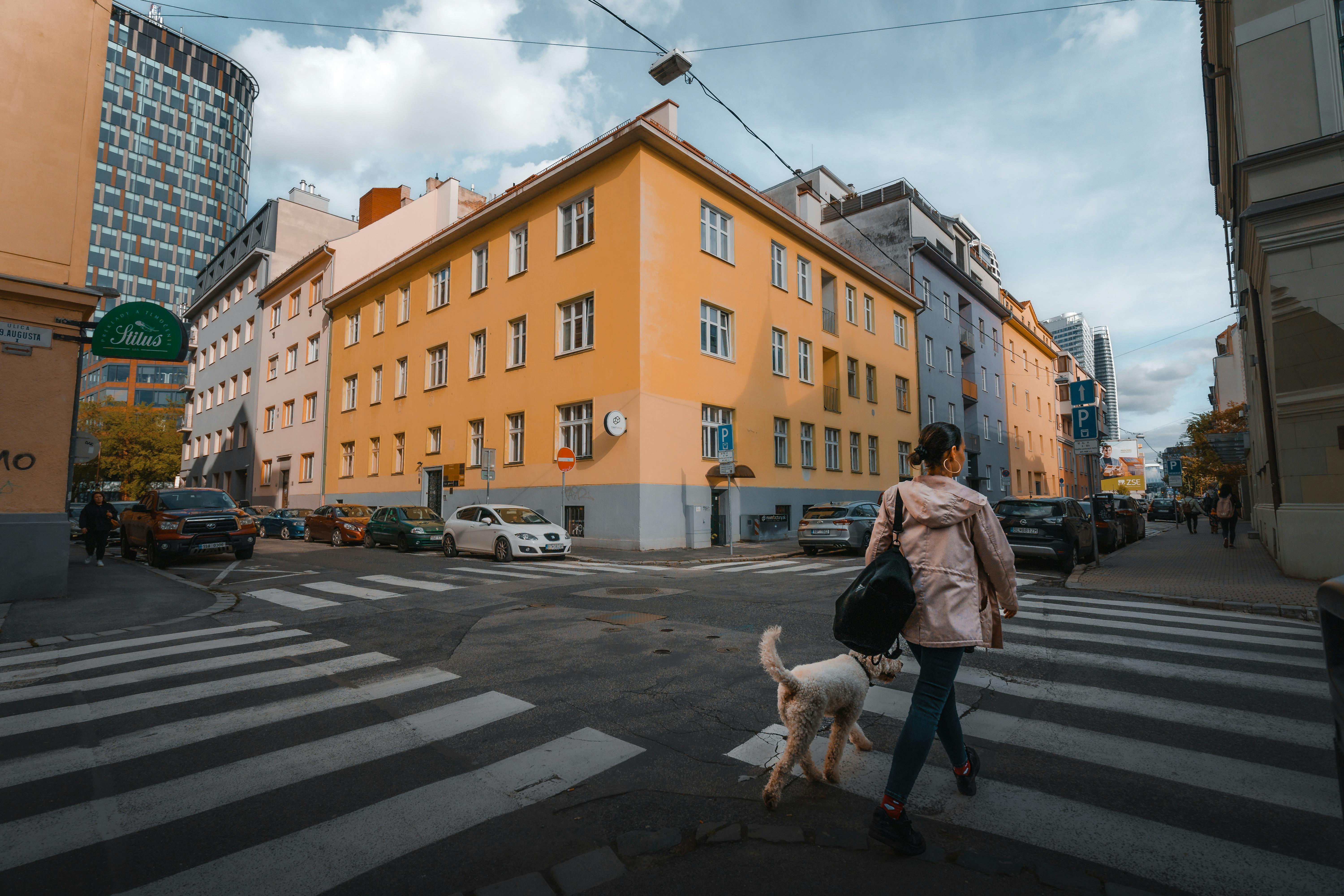 29,500+ Zebra Crossing Stock Photos, Pictures & Royalty-Free