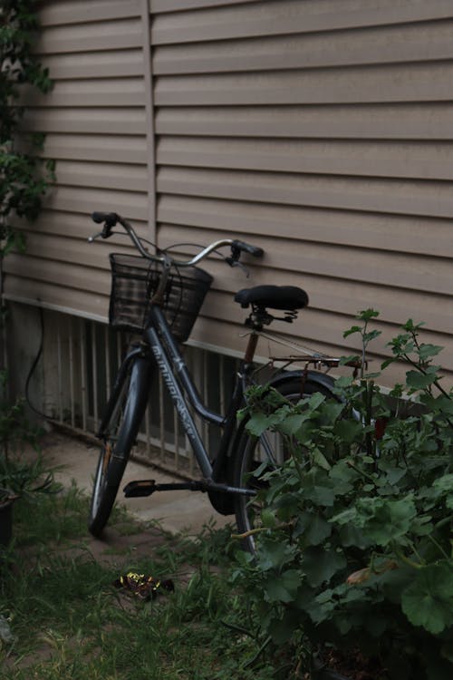 Безкоштовне стокове фото на тему «велосипед, вертикальні постріл, Вибірковий фокус»