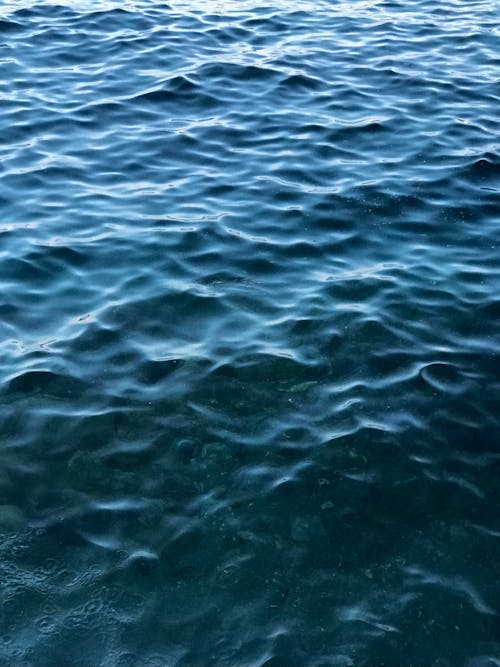 Close-up of Sea Surface 