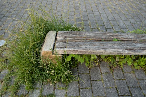 Free stock photo of benches, close up, minimalist