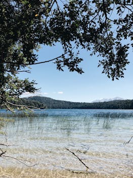 宁静的湖水清澈见底，四周绿树环绕，非常适合自然爱好者