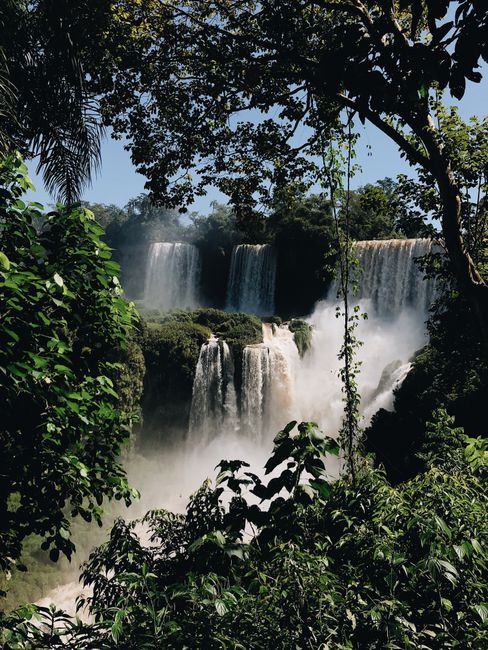 Vibrant waterfalls cascading through lush greenery in a tropical rainforest setting.