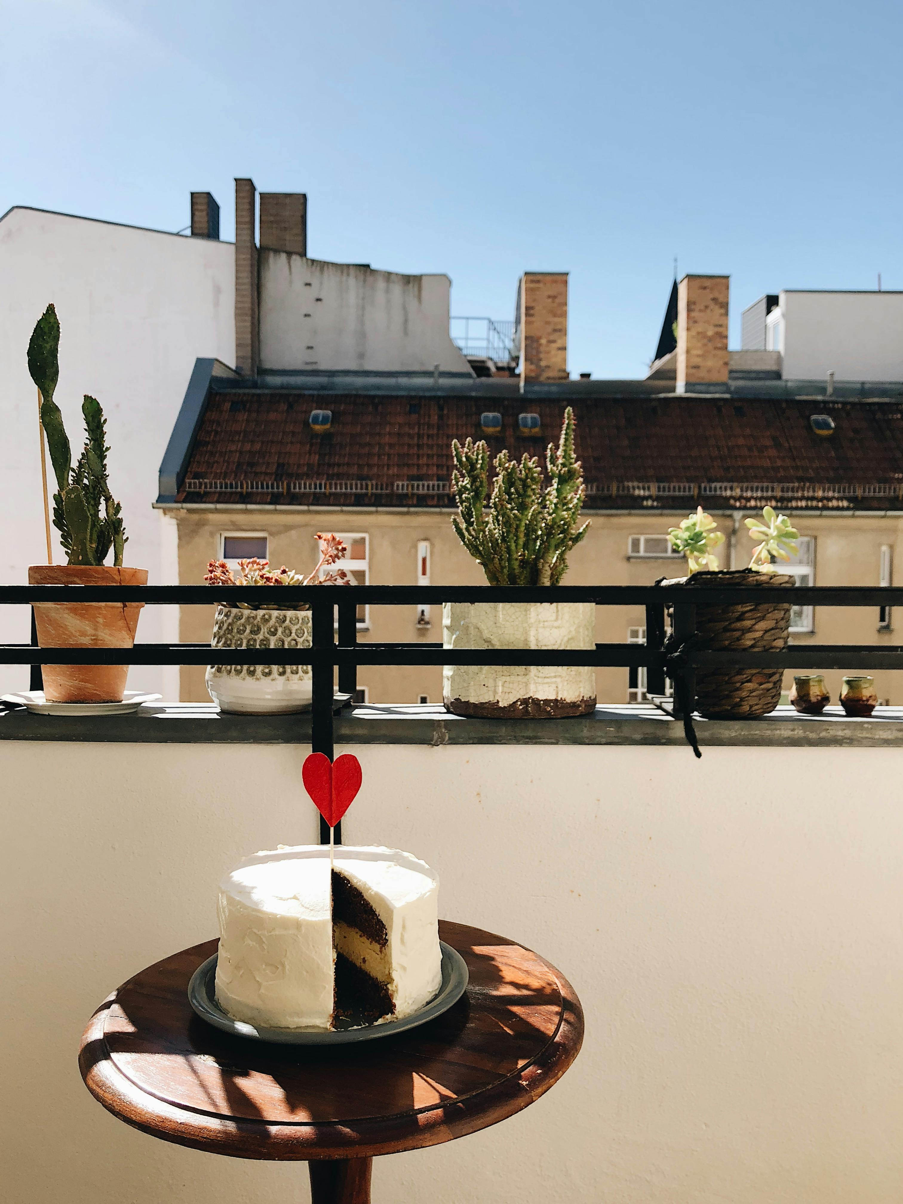 阳台上阳光明媚，装饰精美的蛋糕周围环绕着盆栽