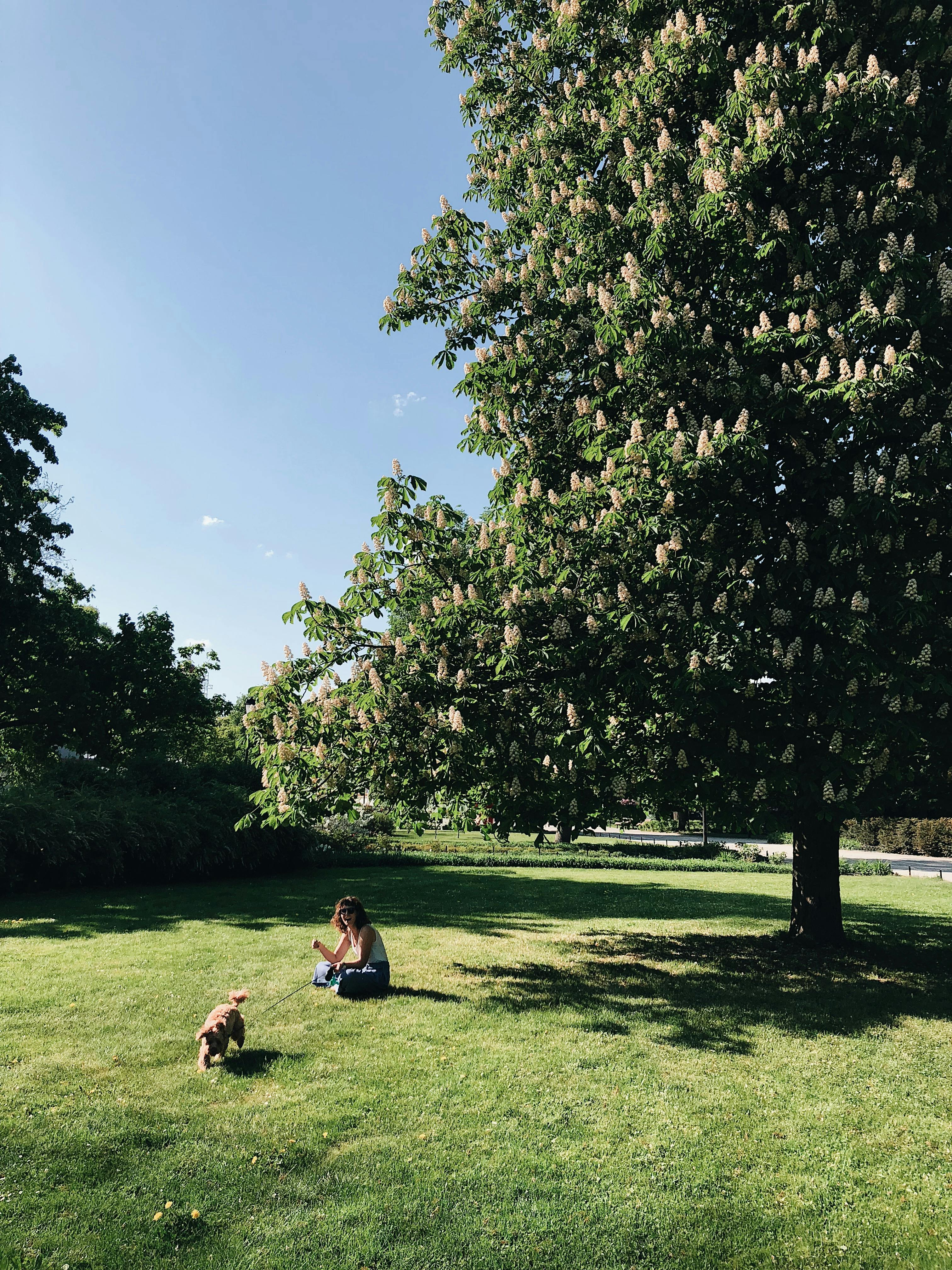 woman with a dog