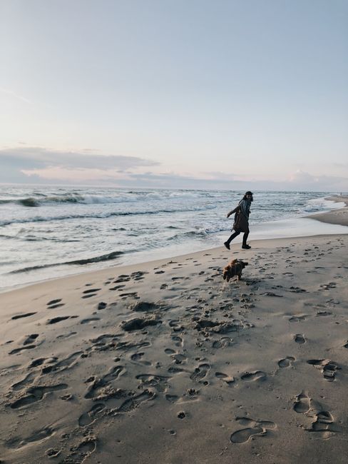 Person and dog enjoying a peaceful walk on a sandy beach by the ocean at sunset.