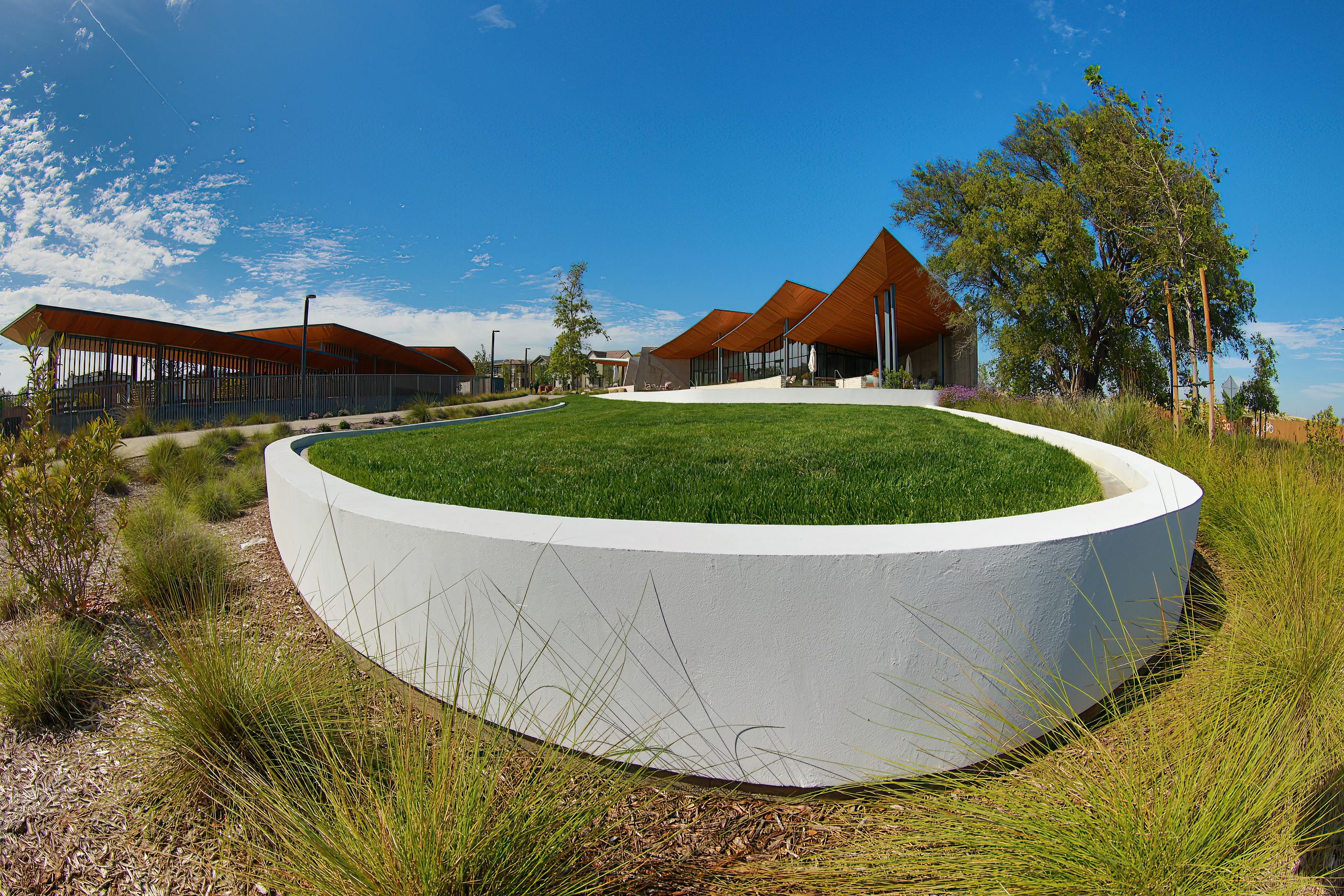 Lawn care and plant maintenance in Sacramento, California