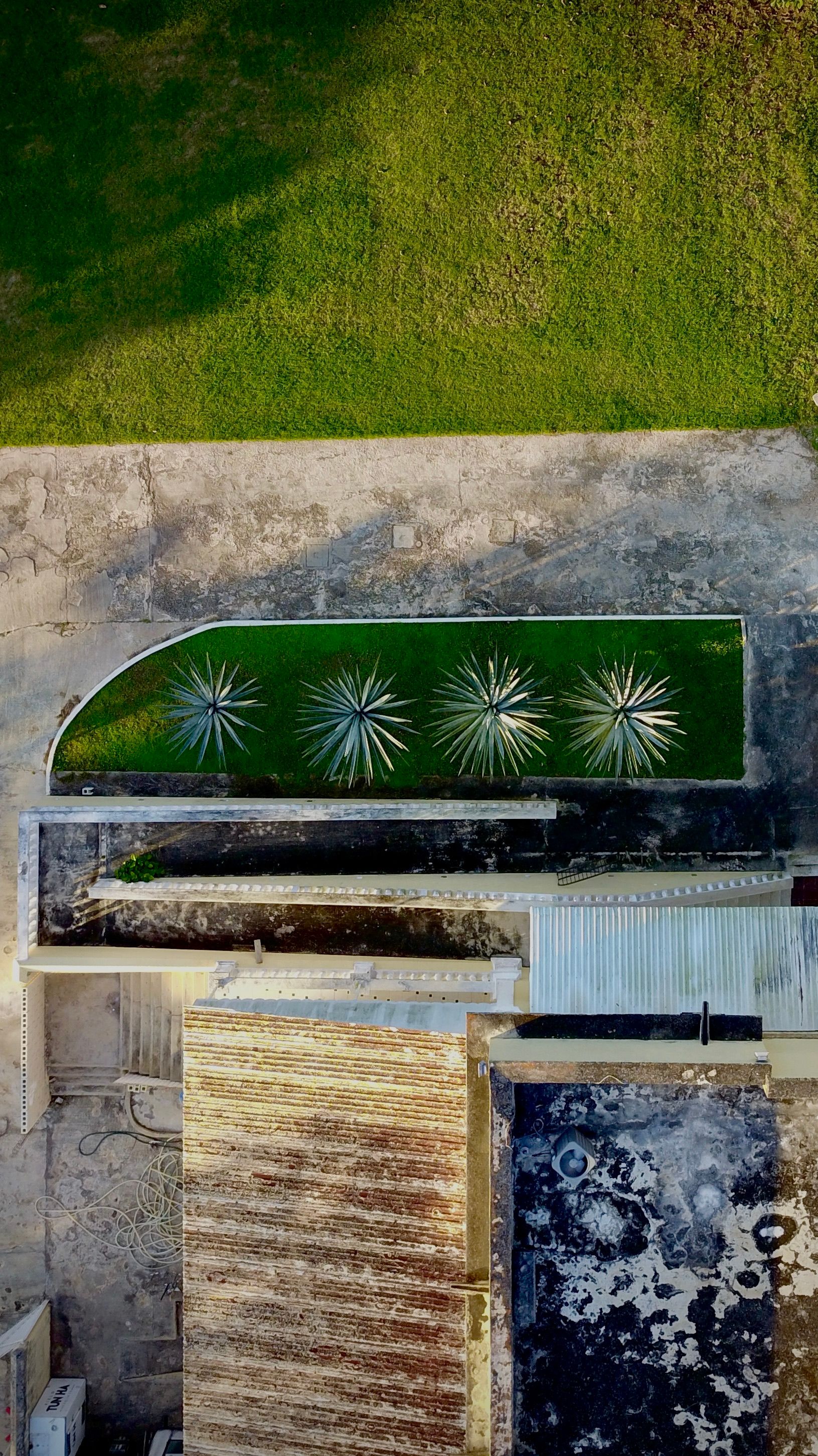 Fotomural Explora los vibrantes patrones de techos y la alineación de palmeras en Teya, Yucatán, México.