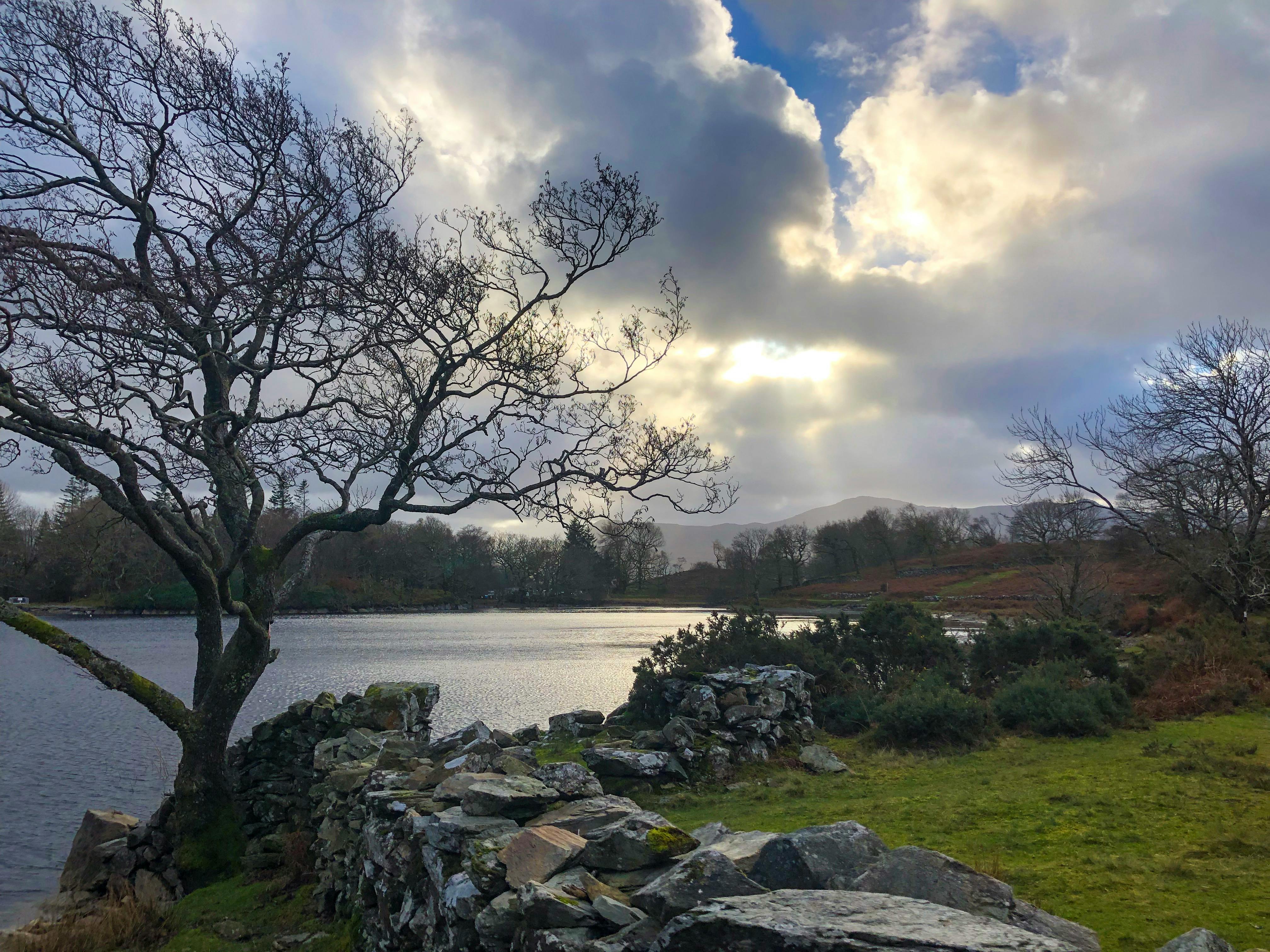 这张户外拍摄的照片展现了宁静的湖景，其中有引人注目的云朵和光秃秃的树木