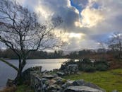 这张户外拍摄的照片展现了宁静的湖景，其中有引人注目的云朵和光秃秃的树木