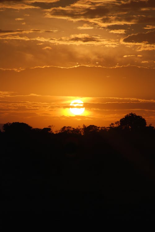 Free stock photo of africa, kenya, safari