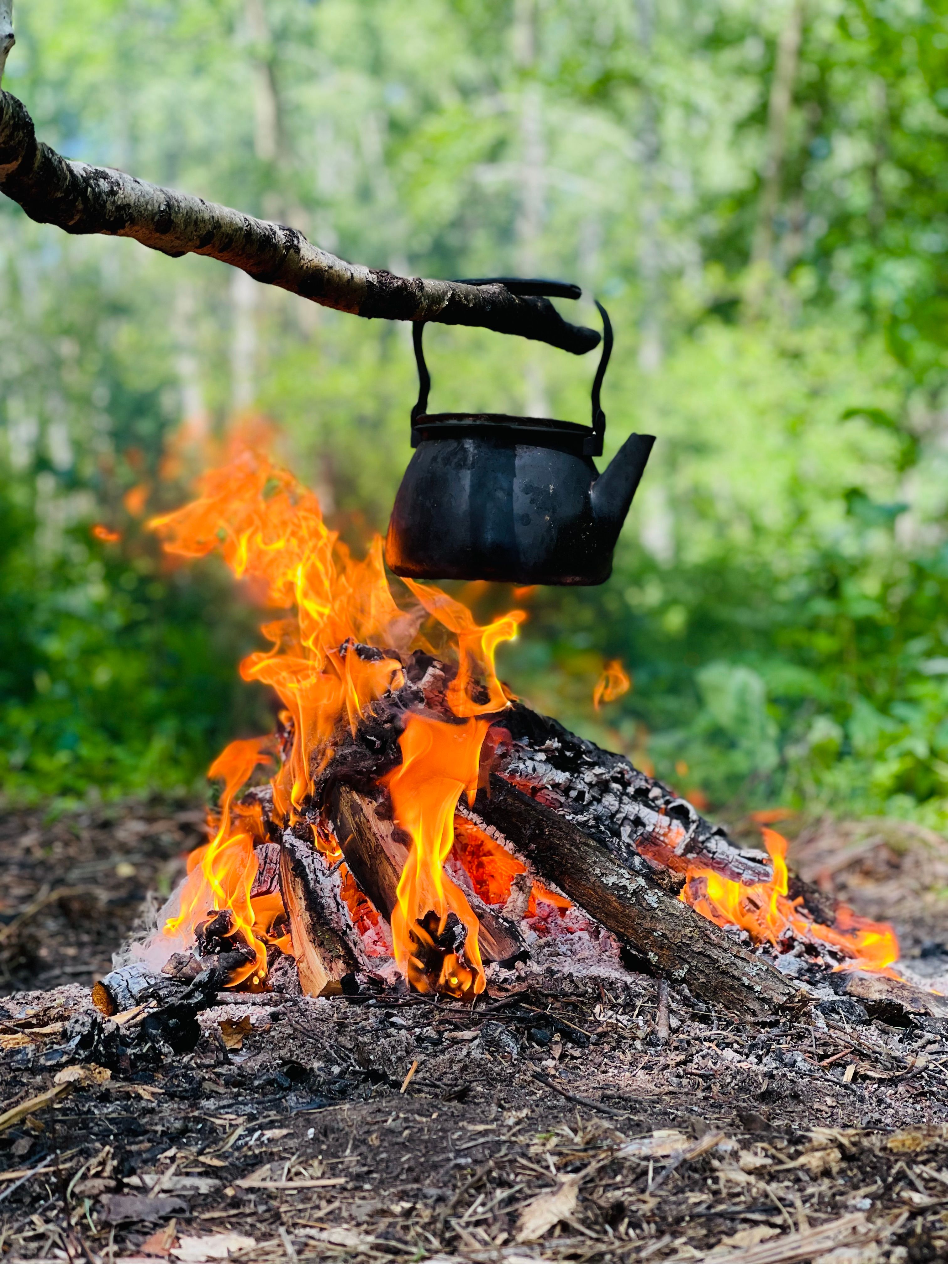Pot on Branch over Fire · Free Stock Photo