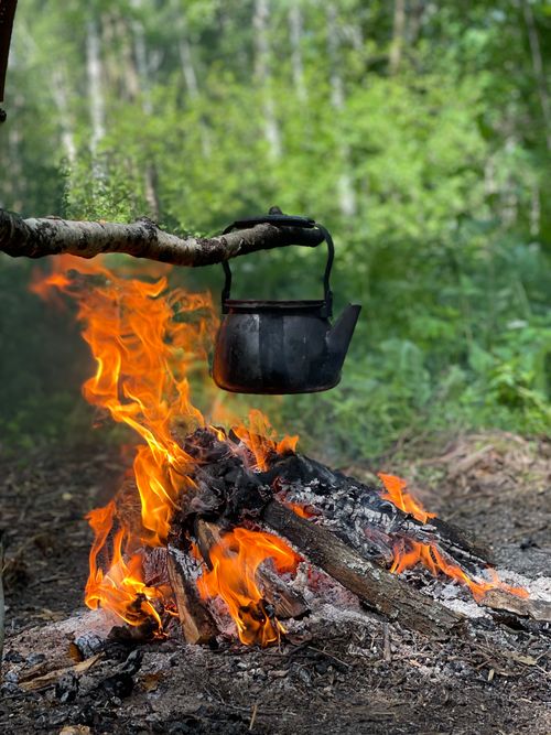 Free A rustic kettle hangs over a vibrant campfire in a lush forest setting, evoking adventure. Stock Photo
