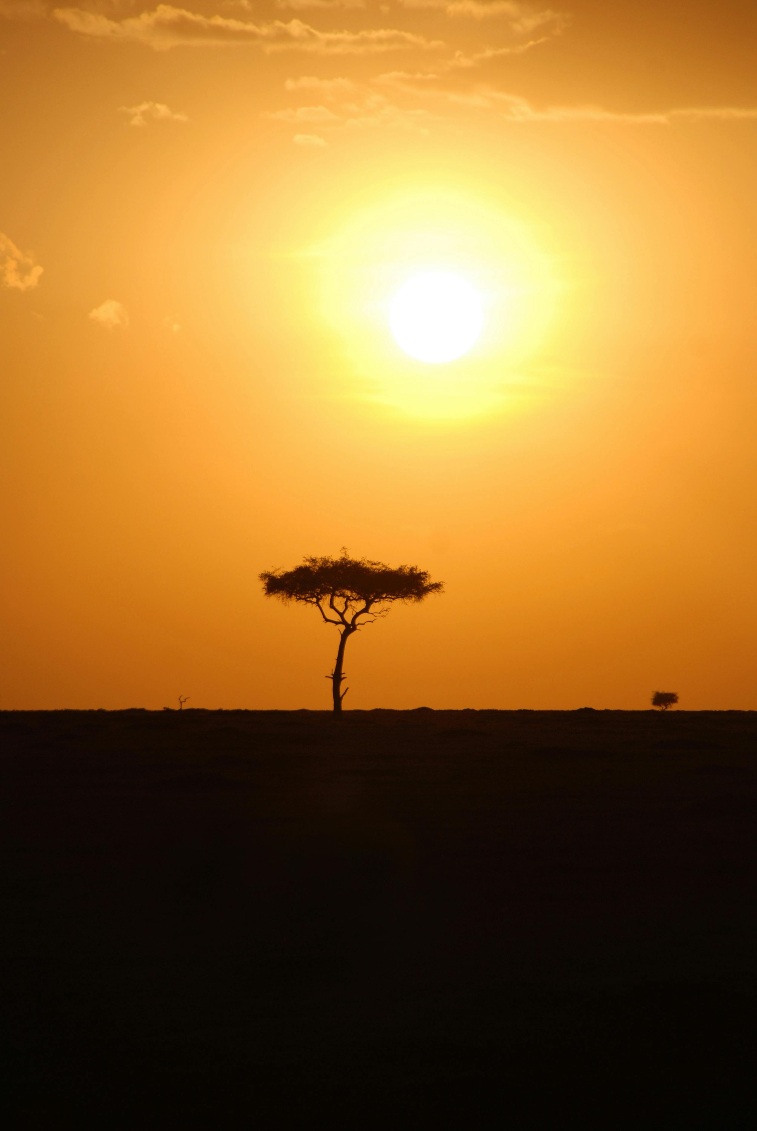 Free stock photo of africa, Kenya, safari