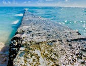 檀香山明媚阳光下，侵蚀海堤延伸入海的详细视图