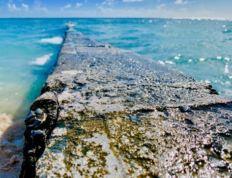 檀香山明媚阳光下，侵蚀海堤延伸入海的详细视图