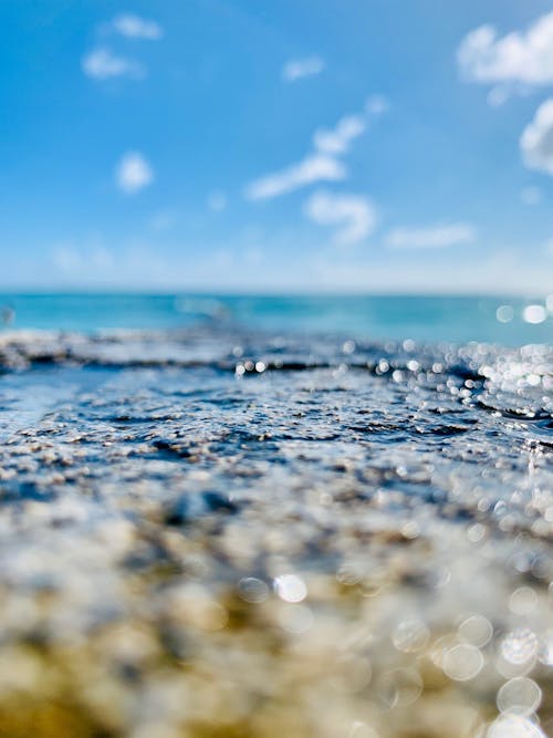 Free Shallow Focus Photography Of Body Of Water Stock Photo