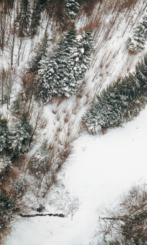 Free A stunning aerial view of a snow-covered forest in Zagreb during winter, showcasing nature's beauty. Stock Photo