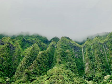 Foggy mountain landscape with lush green foliage and waterfalls in Kaneohe, Hawaii.