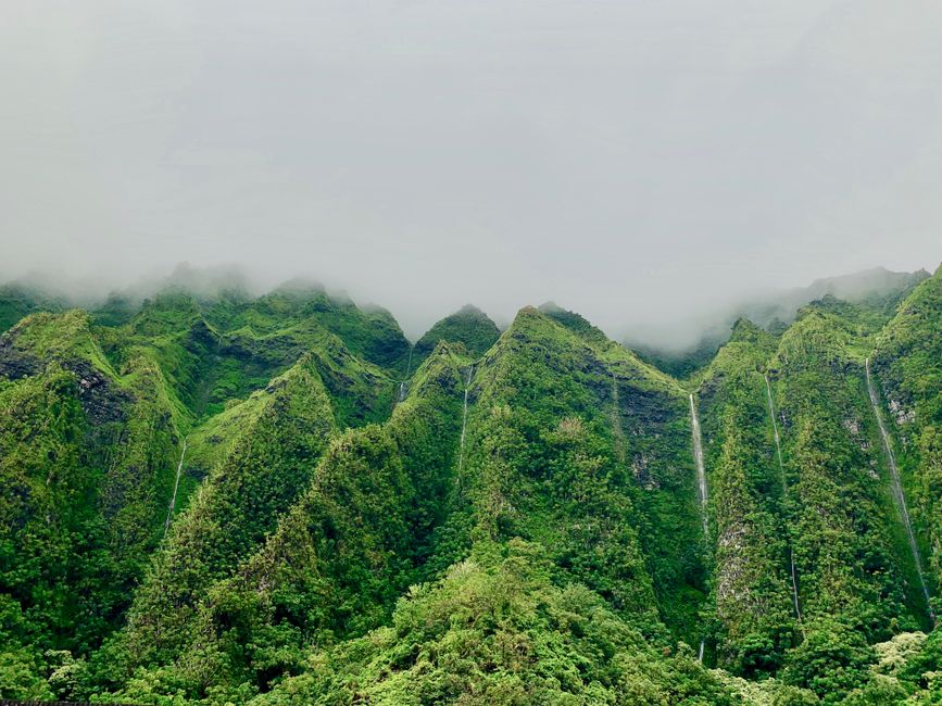 Photo by Brent Keane Foggy mountain landscape with lush green foliage and waterfalls in Kaneohe, Hawaii.