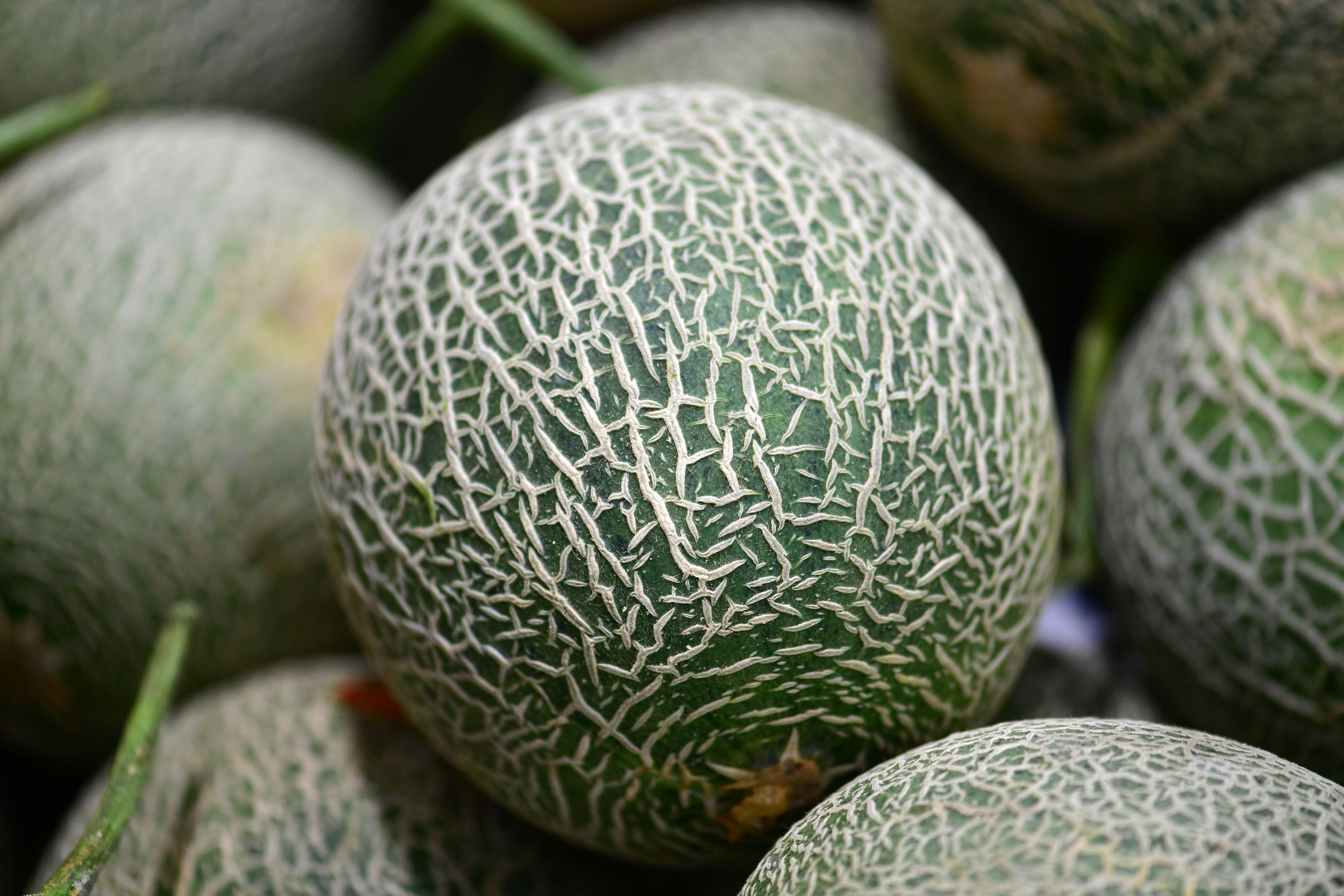Close up of Melons · Free Stock Photo