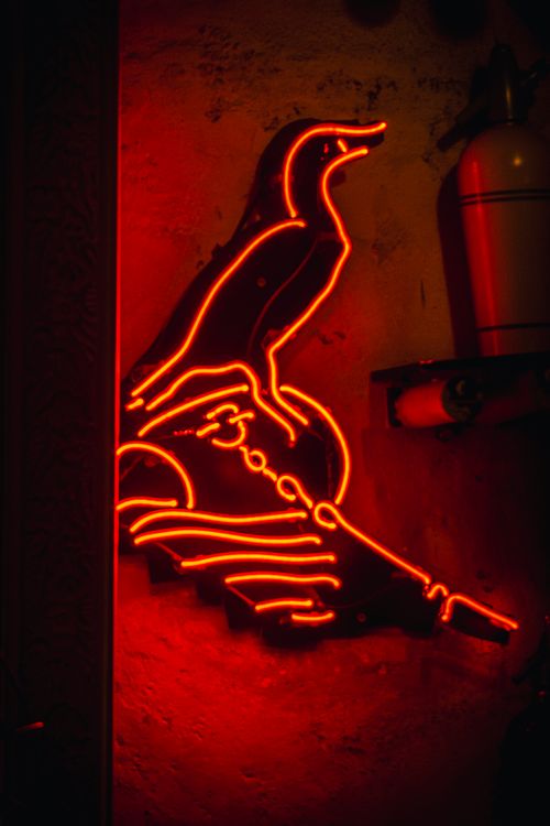 Red Bird Sign Close-up of a Red Neon Sign in the Shape of a Bird · Free Stock Photo
