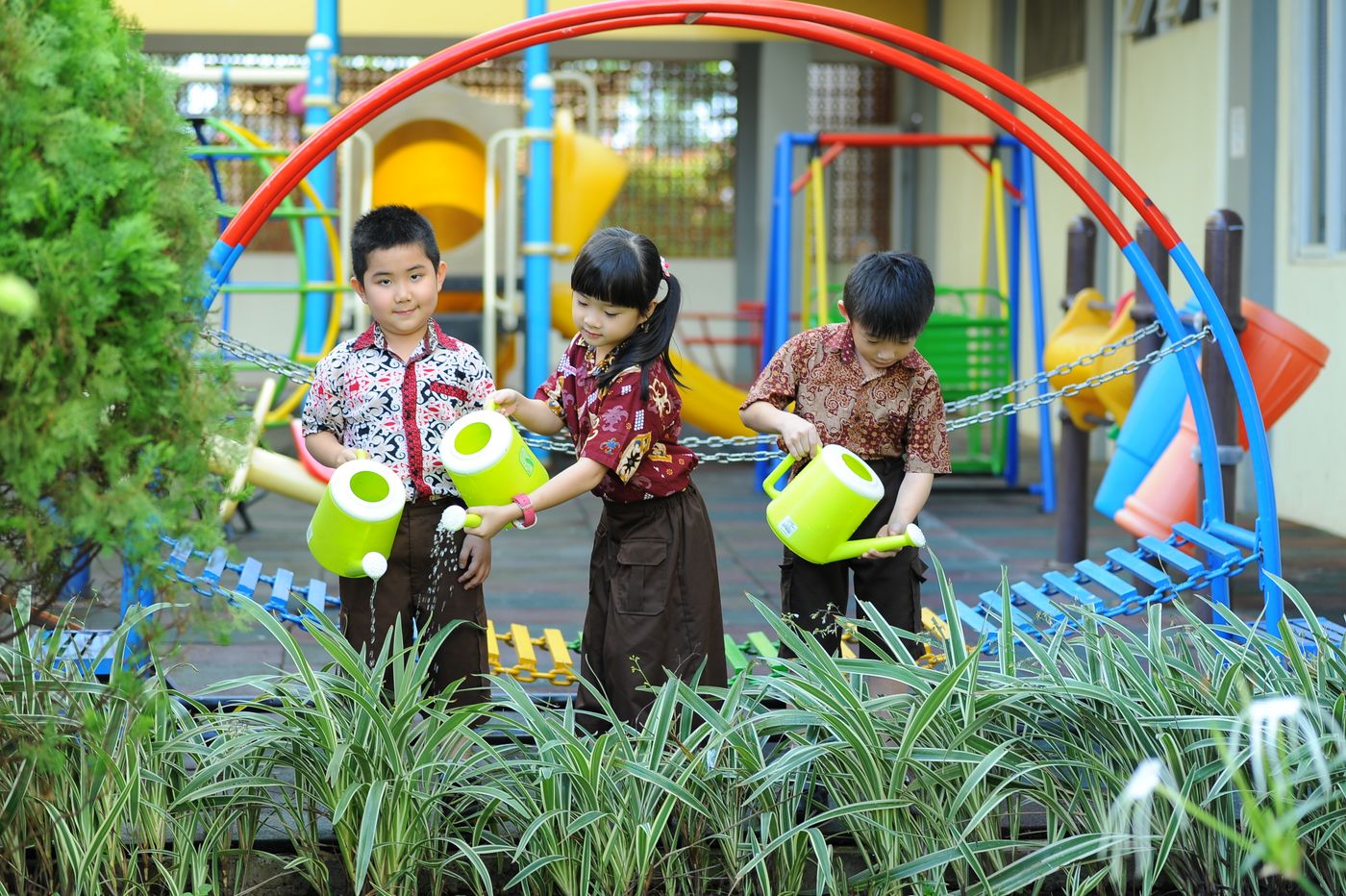 Illustrative image of nature and environmental learning 3