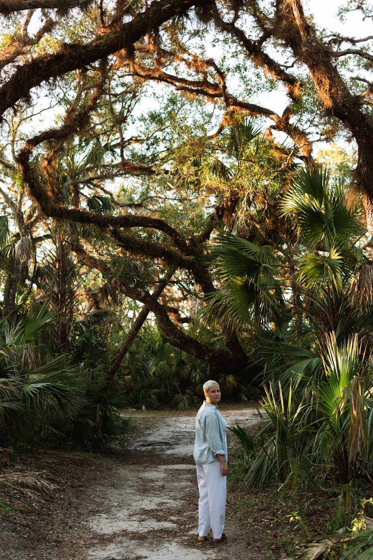 Person Walking Through Park Under Curved Tree Branches