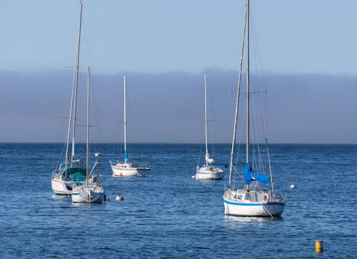 Sailboats on a Sea 