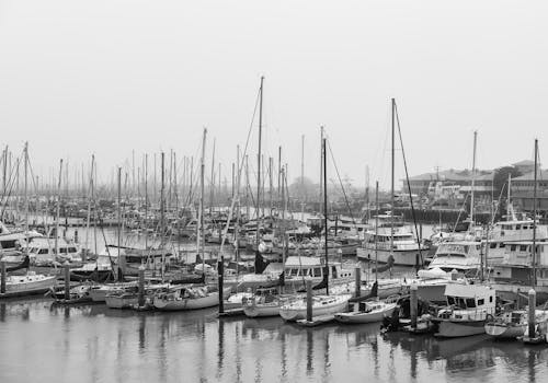 Boats in a Harbor 