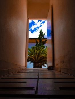 A vibrant palm tree visible through a doorway, showcasing blue skies and puffy clouds. - Fotografer Sidoarjo