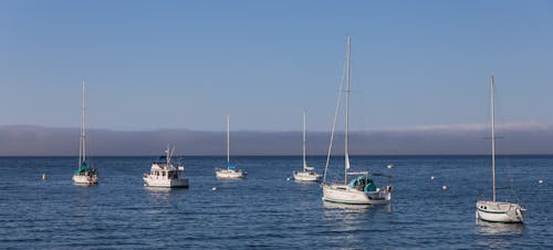 Безкоштовне стокове фото на тему «білий, відкрита вода, Вітрильники»