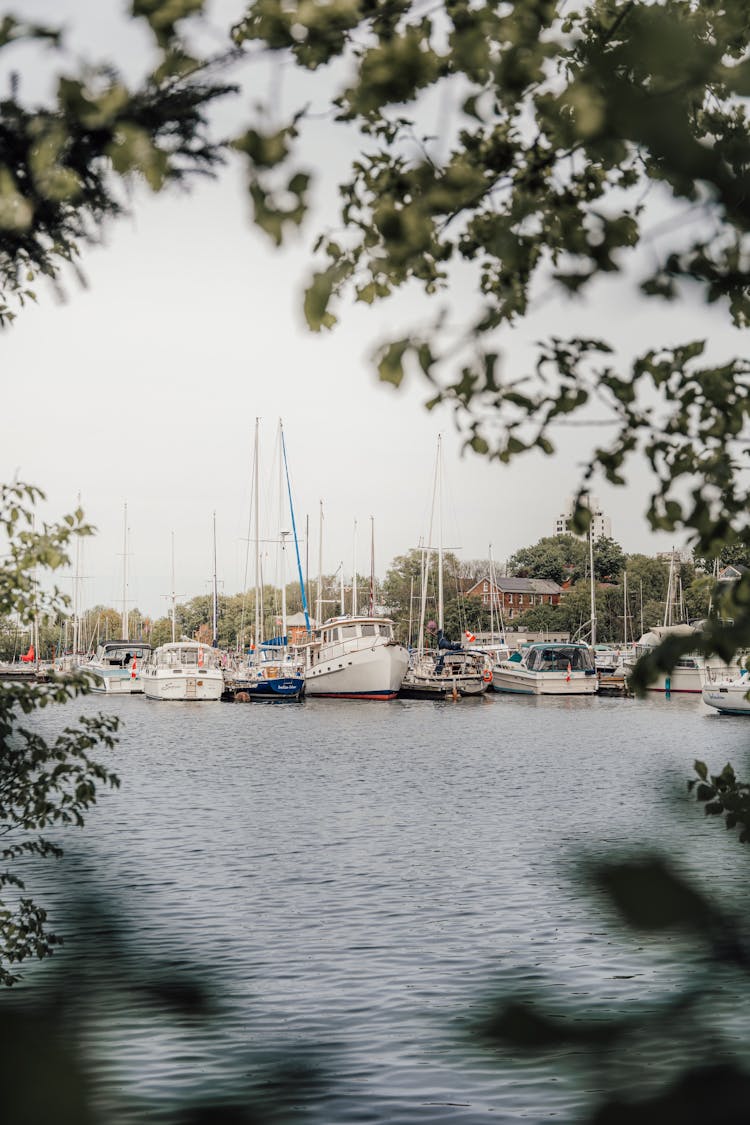 Boats Moored In A Harbor