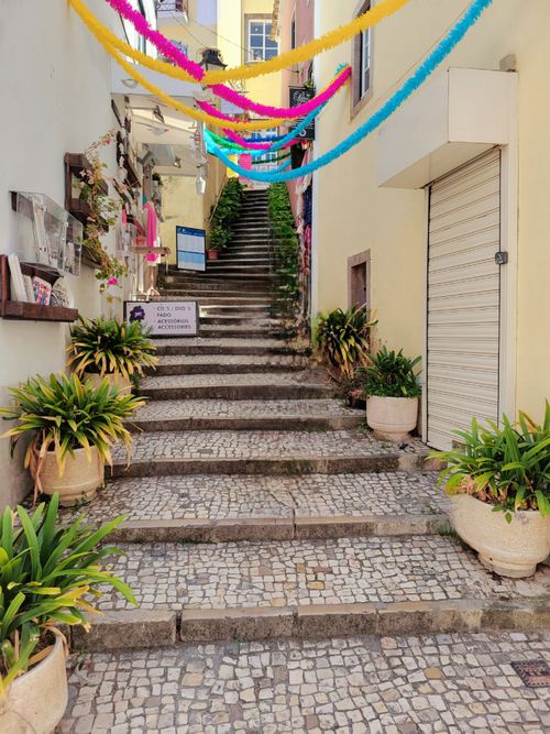 Free Picturesque narrow alley with festive decorations, potted plants, and stone staircase in a historic town. Stock Photo