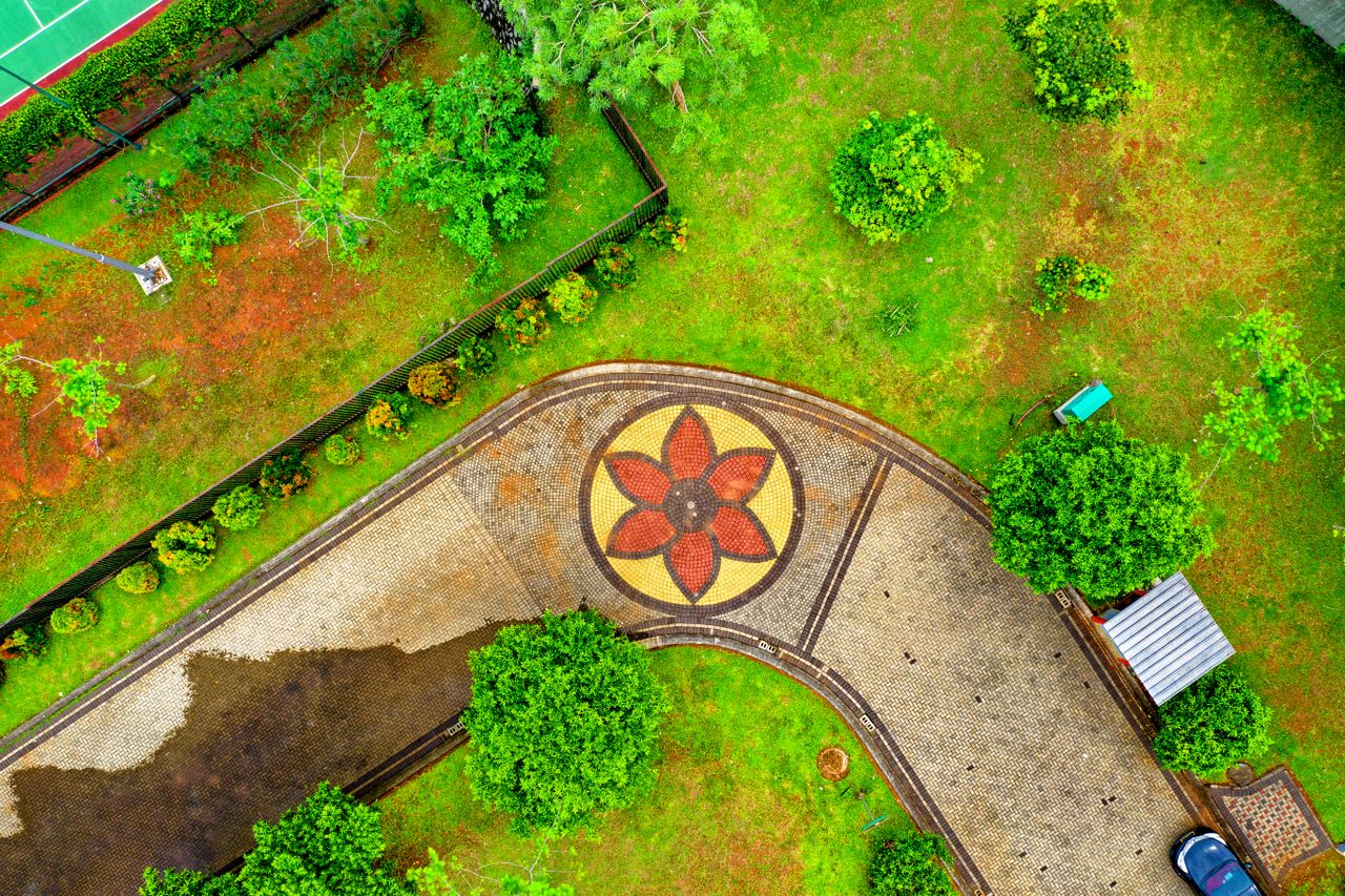 Aerial view of a landscaped backyard with green lawn and patio