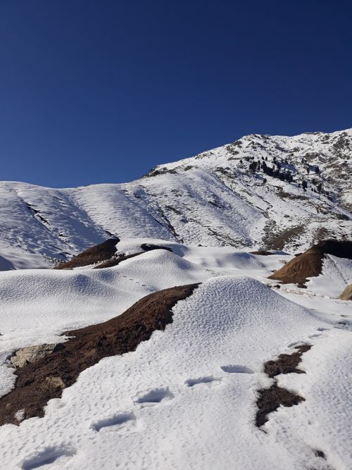 Free Serene snow-covered mountains under clear blue sky in Peshawar, Pakistan. Stock Photo