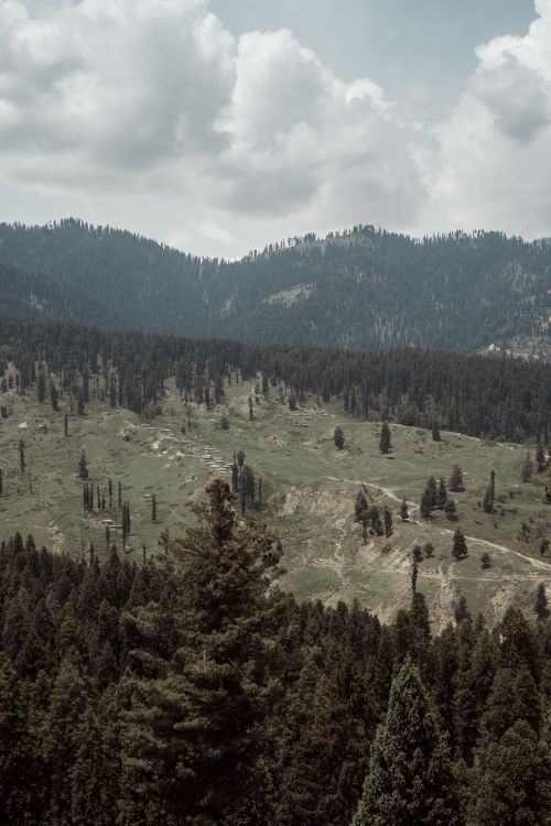 Free Breathtaking view of the lush green mountains and forests in Srinagar, Kashmir. Stock Photo