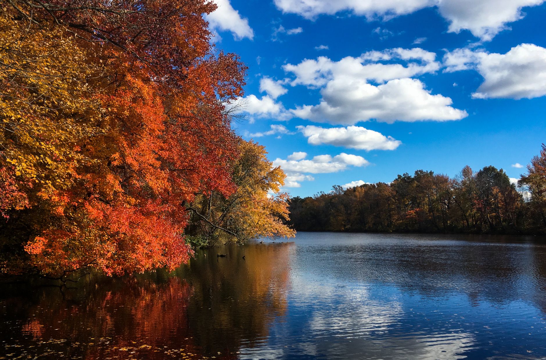 Breathtaking autumn lake scene with vibrant foliage in Voorhees Township, NJ.