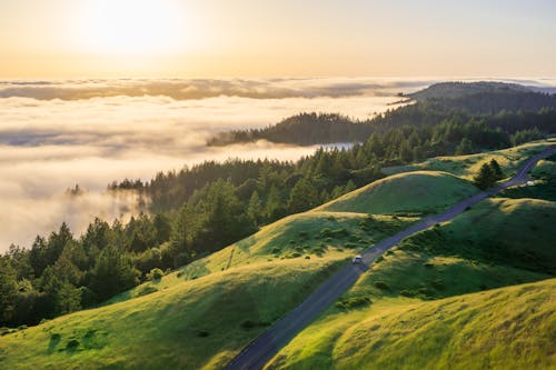 Fog Covering Valley at Dawn