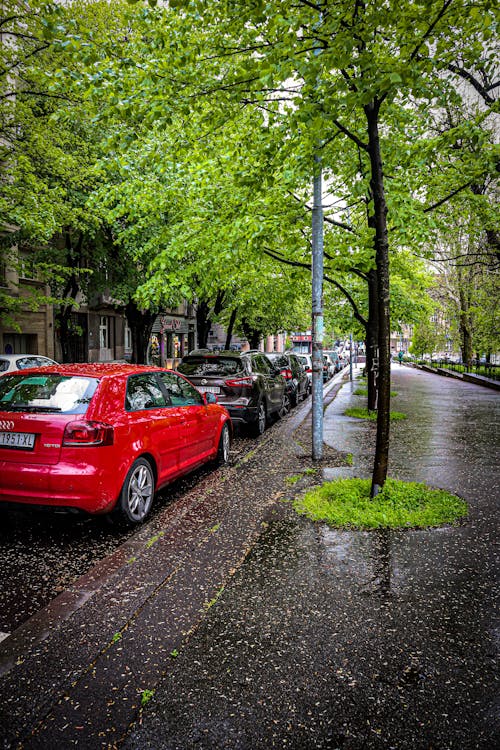 Darmowe zdjęcie z galerii z drzewa, duże miasto, samochody