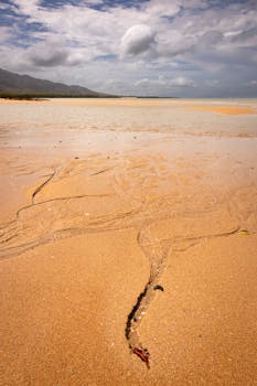 A scenic beach capturing serene sand, distant mountains, and a cloudy sky.