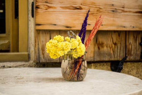 Gratis arkivbilde med blomster, bord, dekorativ