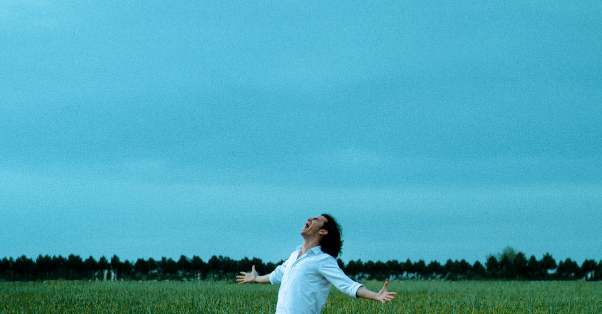 Land Shouting Man Shouting in Countryside · Free Stock Photo