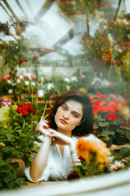 Free Portrait of a brunette woman in a vibrant greenhouse filled with blossoming flowers. Stock Photo