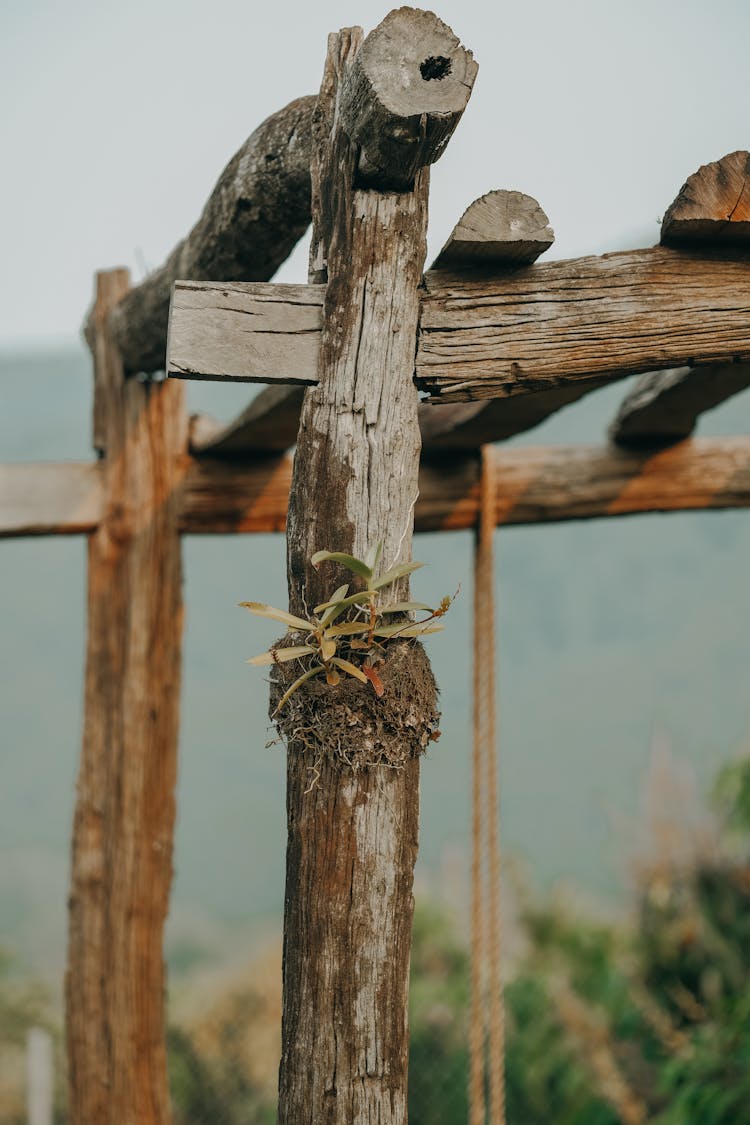 Rough Wooden Construction