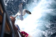 在一个阳光明媚的日子里，一名男子乘船在海上喂海鸥