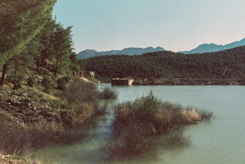 Free Peaceful lake scene with forested hills and distant mountains at dawn, offering a calming natural view. Stock Photo
