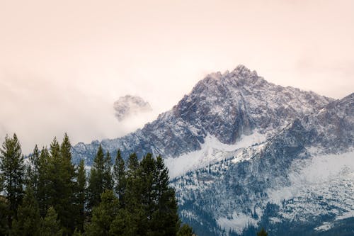 Free Mountain and Trees Stock Photo