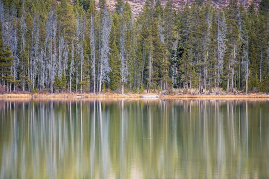 爱达荷州斯坦利的平静湖泊倒映着茂密的松树林，尽显大自然的宁静